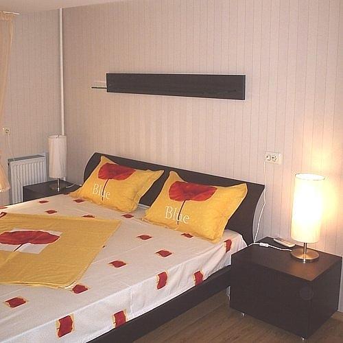 Apartment For Rent On Deribasovskaya Street オデッサ 部屋 写真